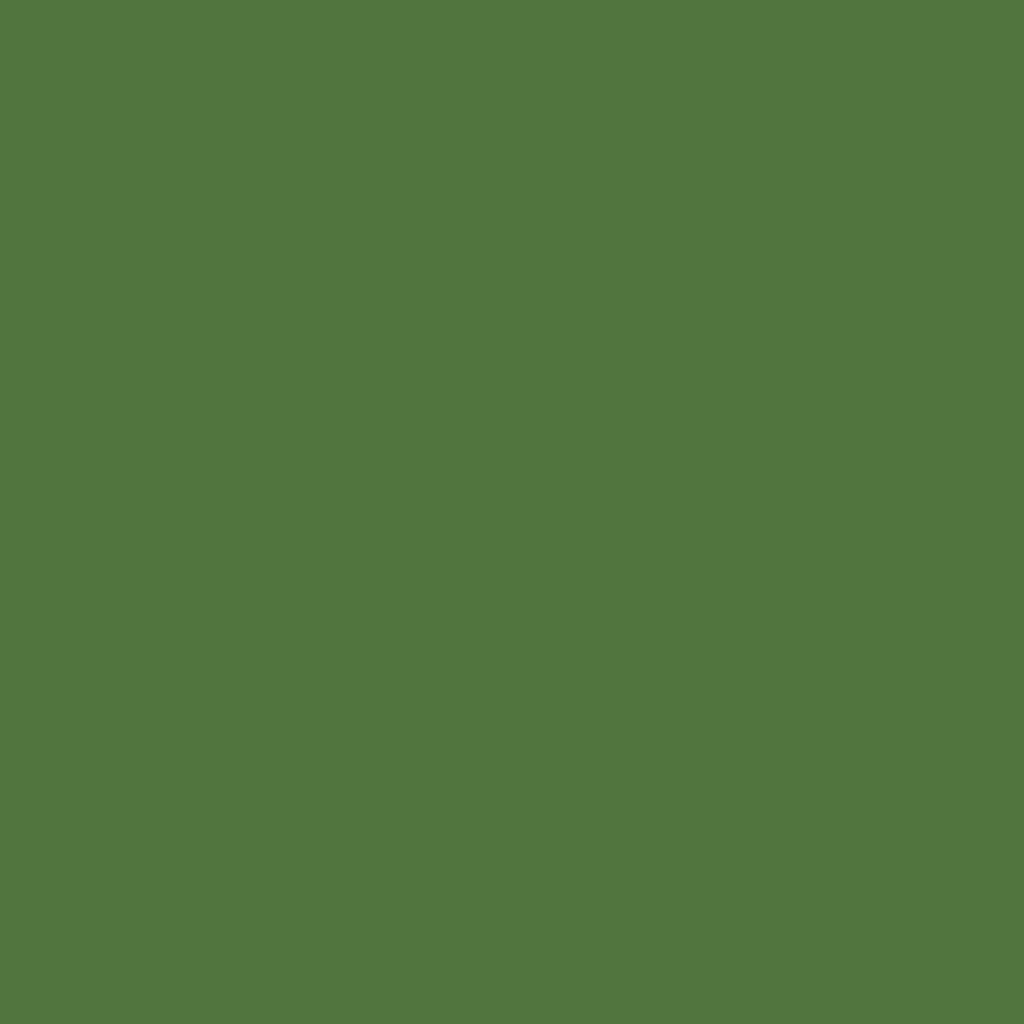 RAL 6025 Fern green entry-doors door-colors ral-colors ral-6025-fern-green texture