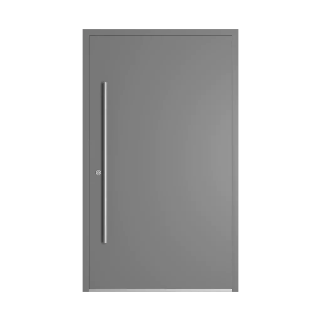 RAL 7037 Dusty grey entry-doors models-of-door-fillings cdm model-16  