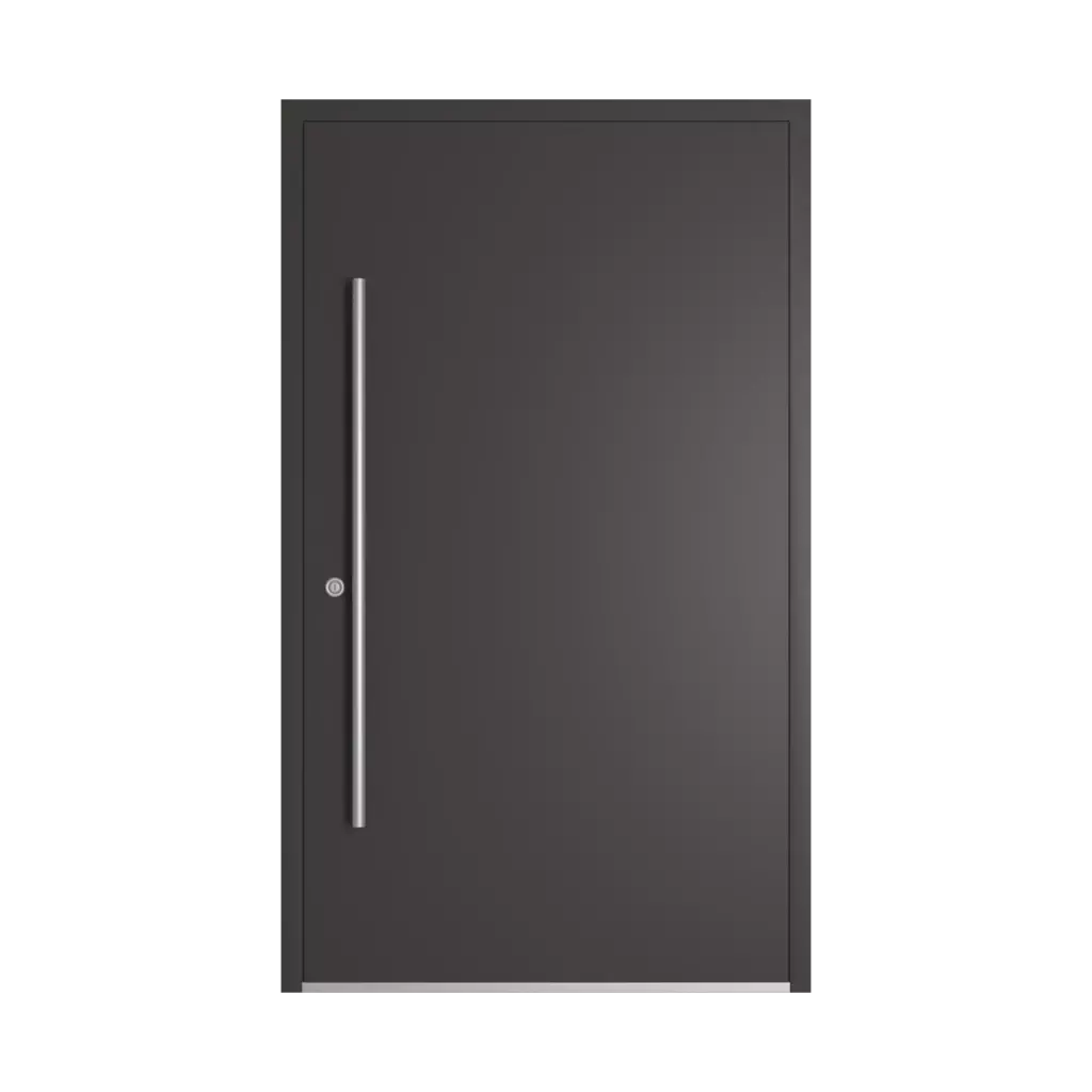 RAL 8019 Grey brown entry-doors models-of-door-fillings dindecor 6011-pvc  