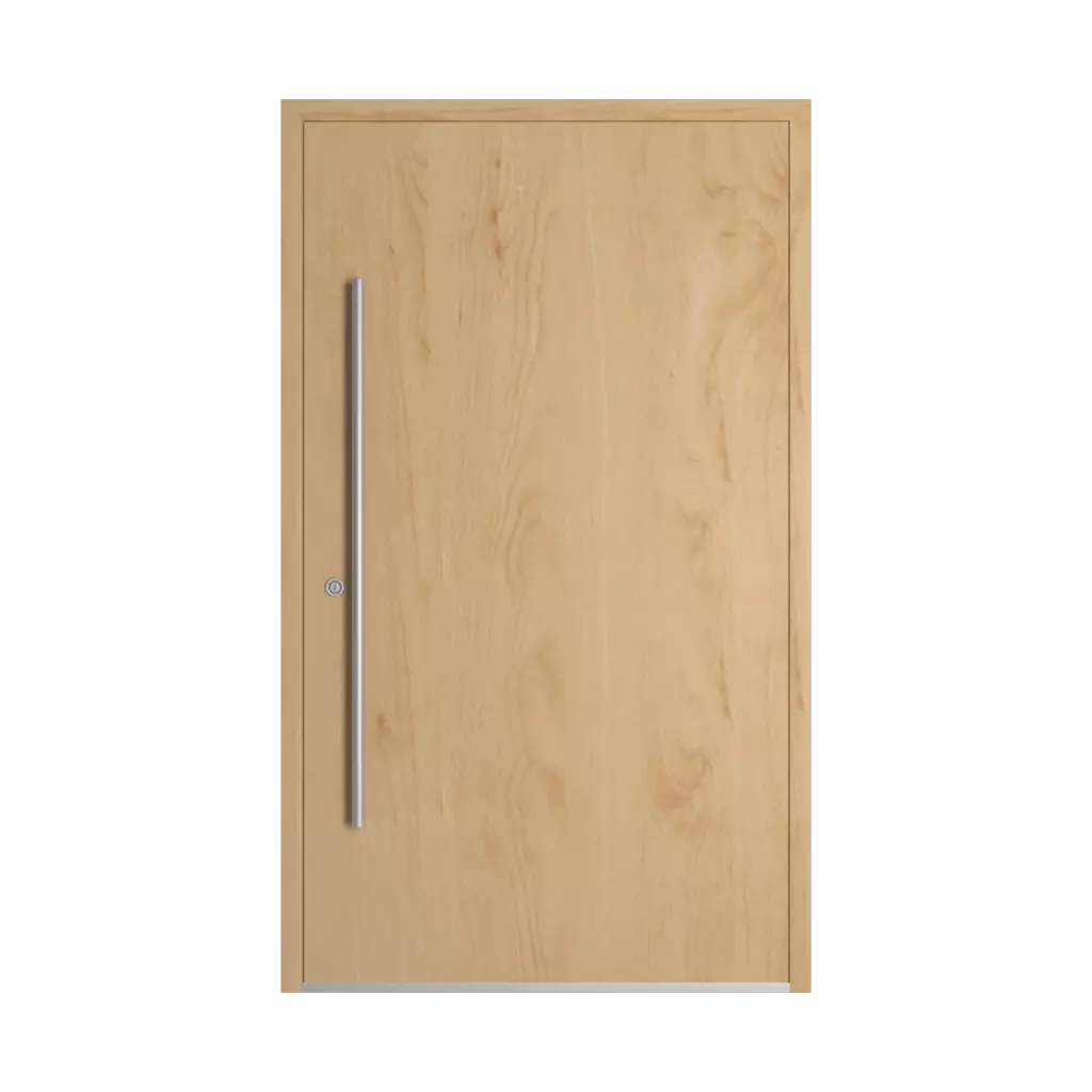 Birch entry-doors models-of-door-fillings dindecor cl12  