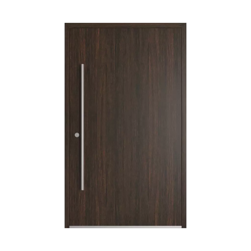 Dark oak entry-doors models-of-door-fillings dindecor 6011-pvc  