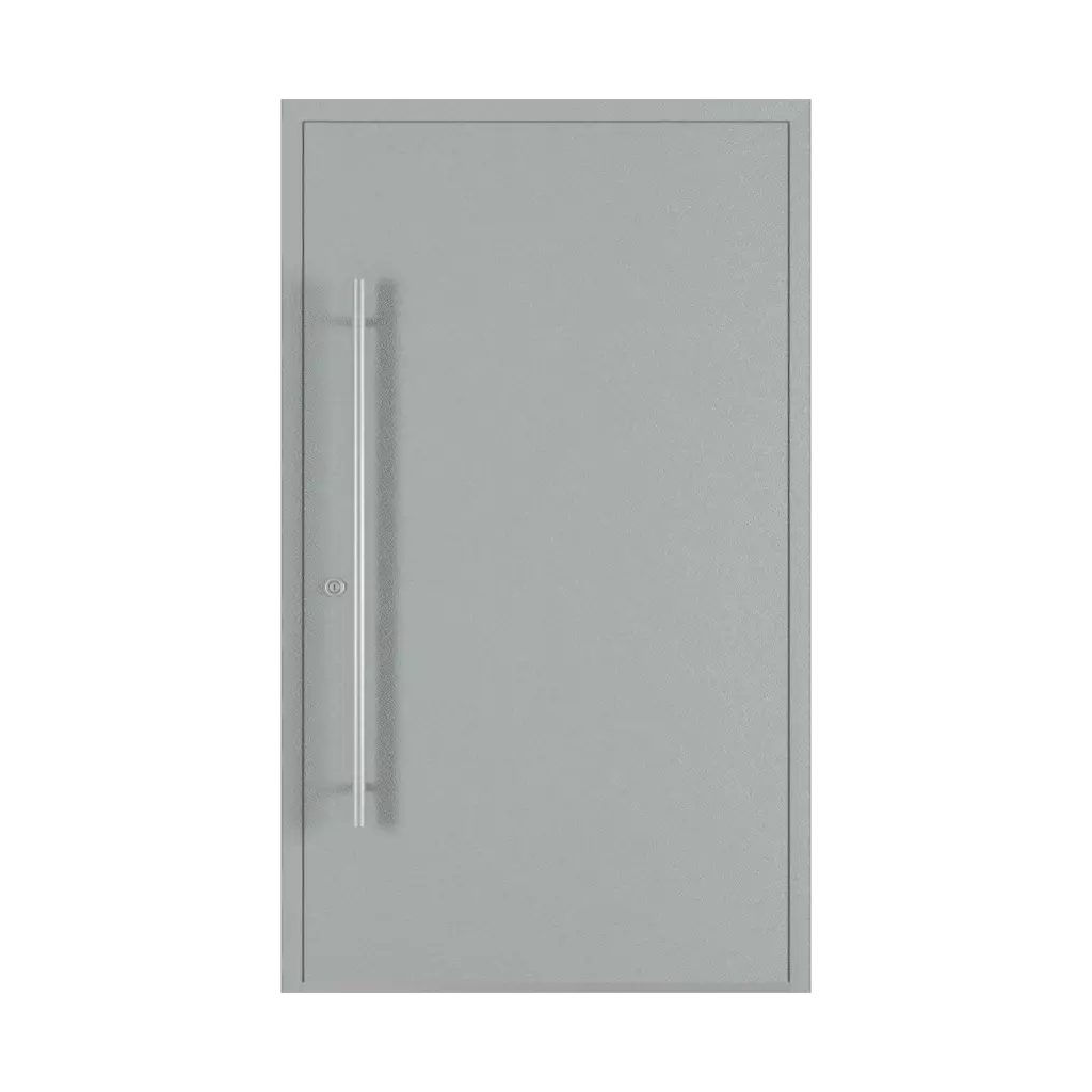 Gray entry-doors models-of-door-fillings cdm model-16  