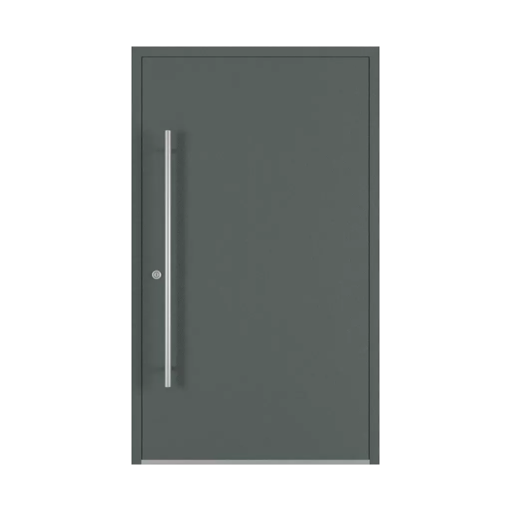 Basalt gray entry-doors models-of-door-fillings dindecor 6011-pvc  