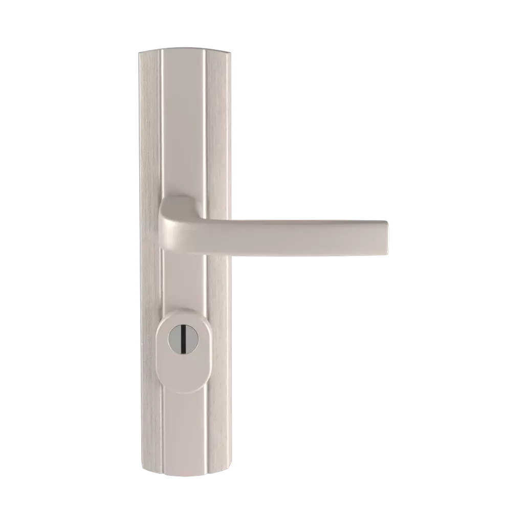 Prestige Class C with security entry-doors door-accessories handles prestige-class-c-with-security interior