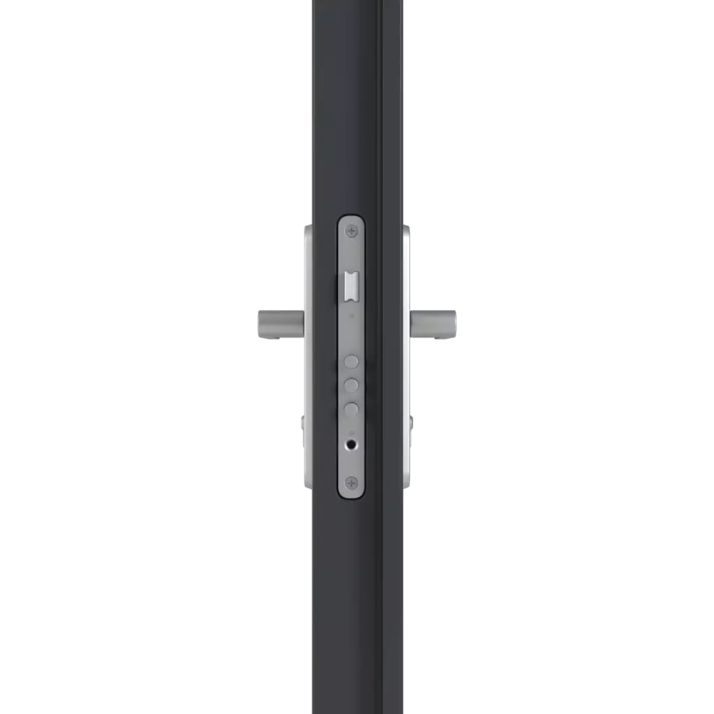 Handle/handle entry-doors models-of-door-fillings dindecor 6011-pvc  
