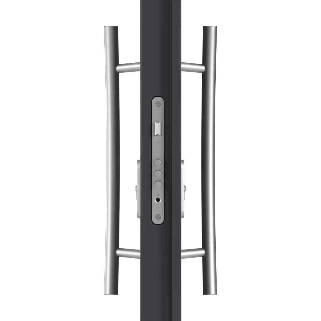 Pull handle(s) entry-doors models-of-door-fillings dindecor 6011-pvc  
