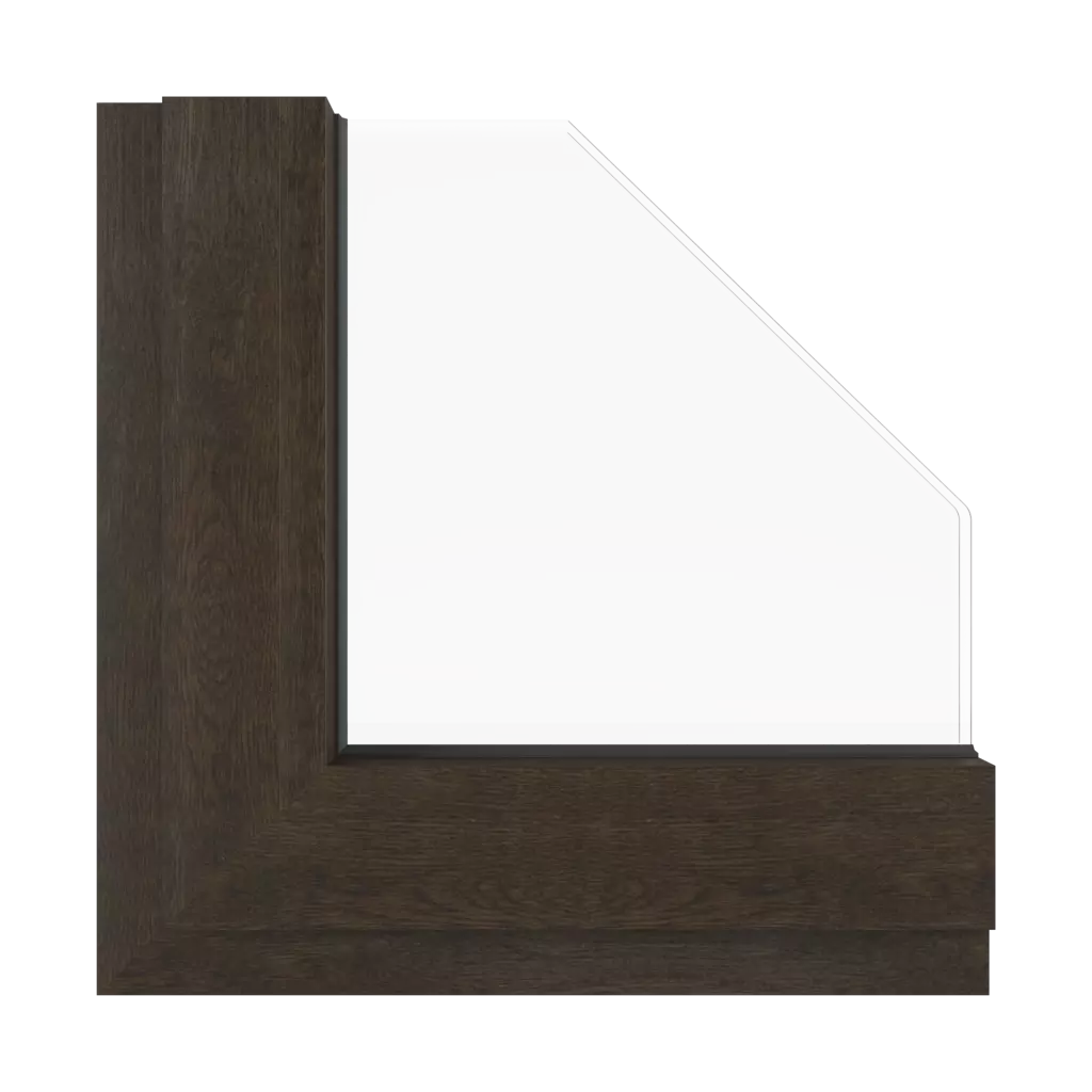 Black walnut windows window-colors aluprof-colors black-walnut interior