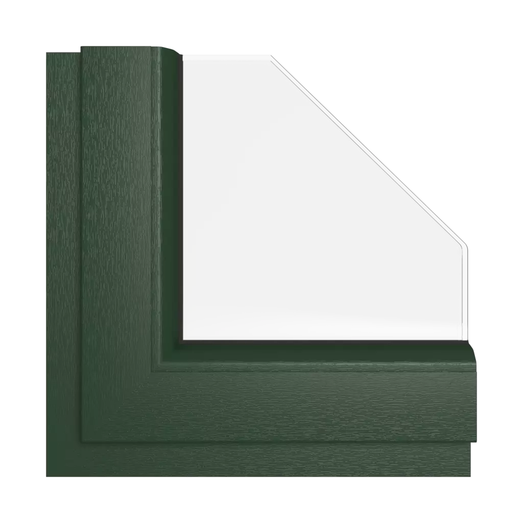 Dark green windows window-colors rehau-colors dark-green interior