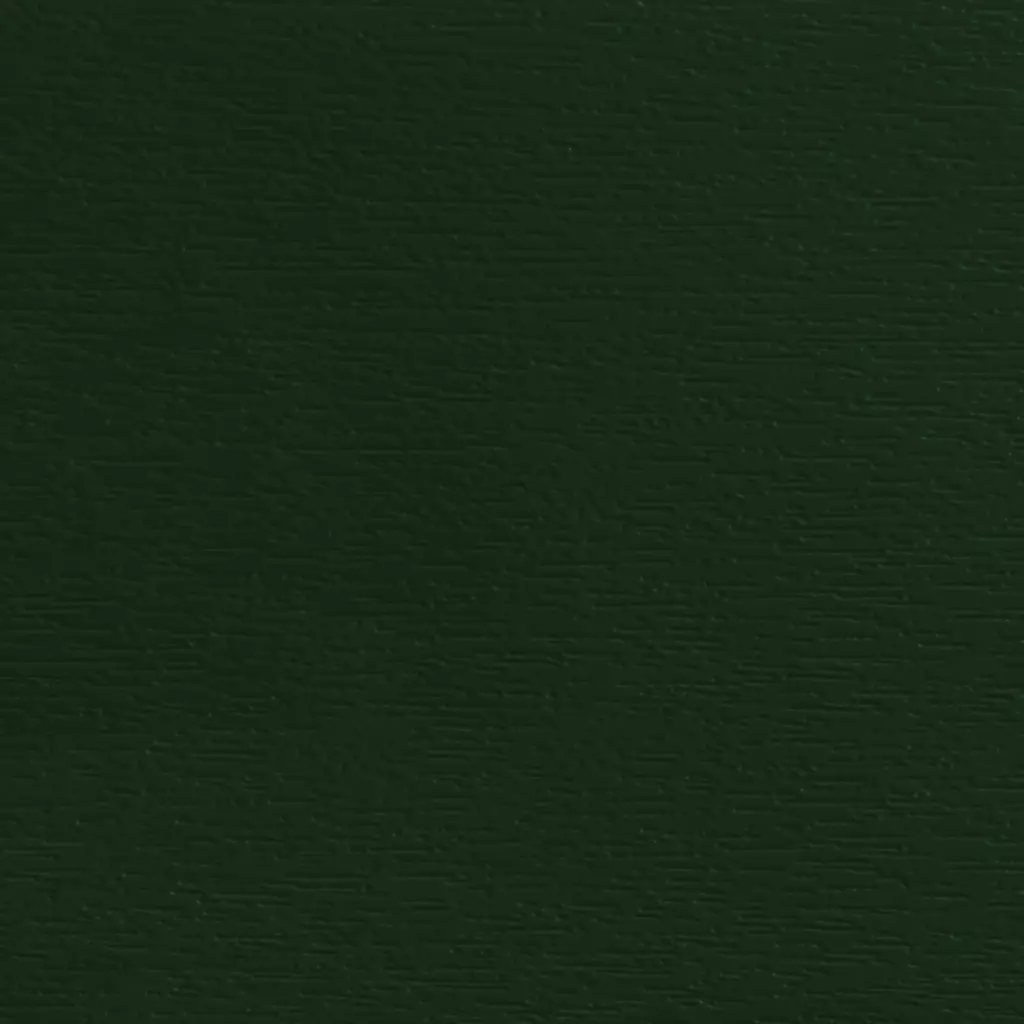 Dark green windows window-colors aluplast-colors dark-green texture