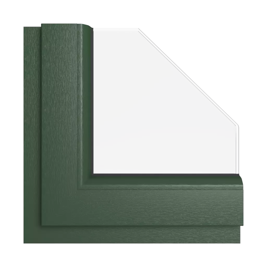 Dark green windows window-colors kommerling-colors dark-green interior