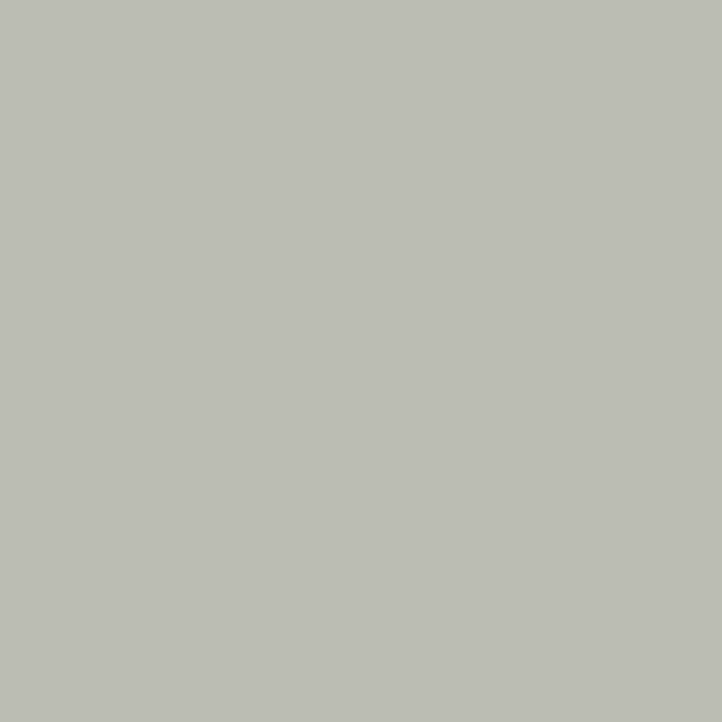 RAL 7044 Silk grey windows window-colors aluminum-ral ral-7044-silk-grey texture